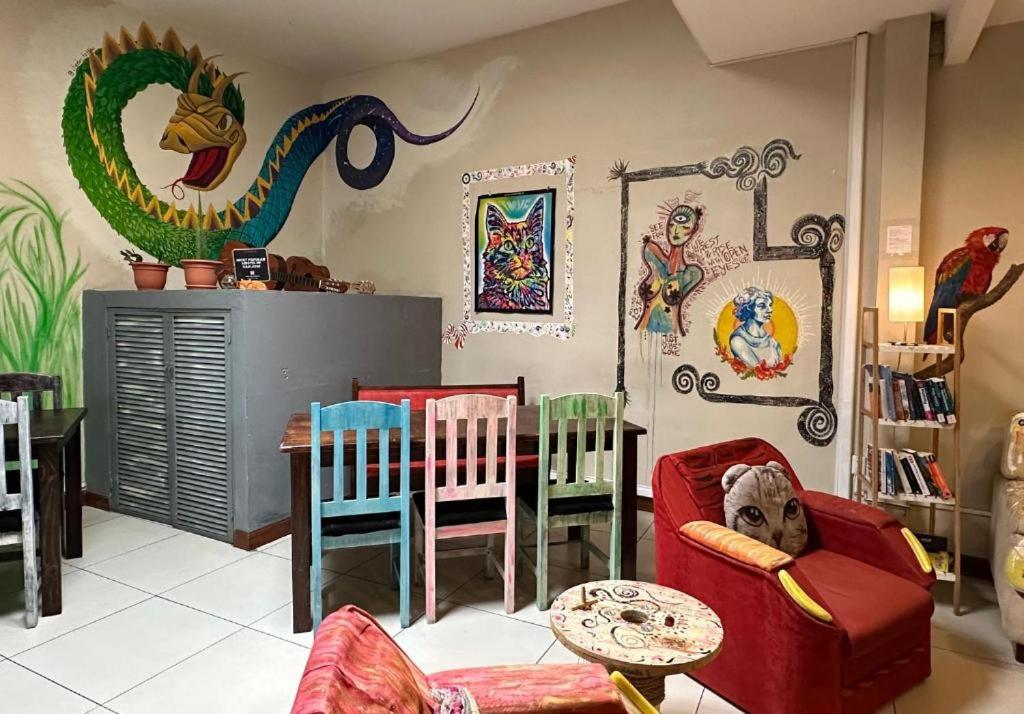 Stray Cat Hostel San Jose  Bagian luar foto
