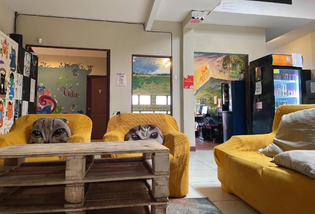 Stray Cat Hostel San Jose  Bagian luar foto