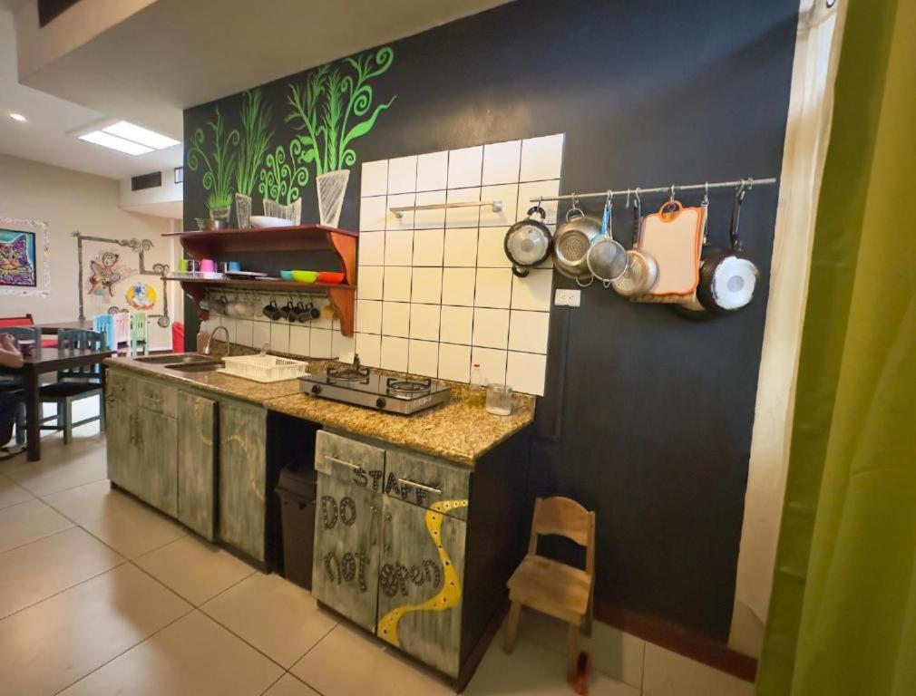 Stray Cat Hostel San Jose  Bagian luar foto