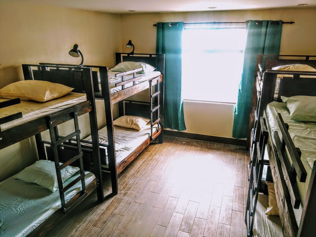 Stray Cat Hostel San Jose  Bagian luar foto