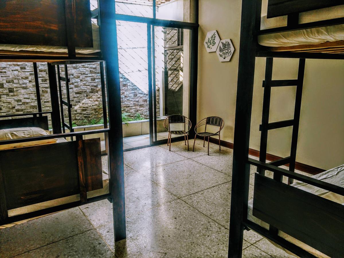 Stray Cat Hostel San Jose  Bagian luar foto