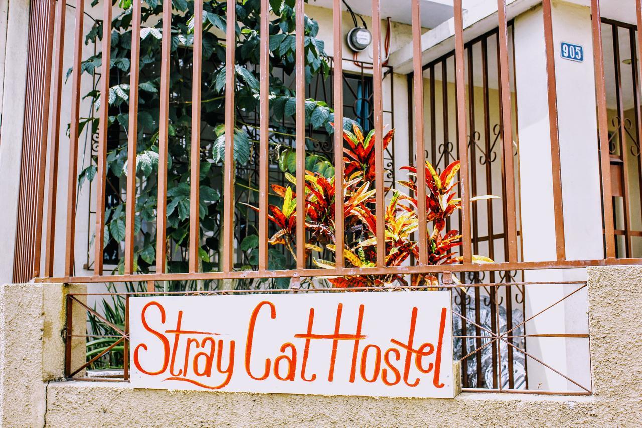 Stray Cat Hostel San Jose  Bagian luar foto