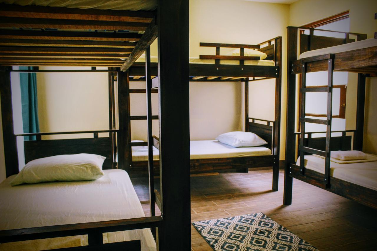 Stray Cat Hostel San Jose  Bagian luar foto