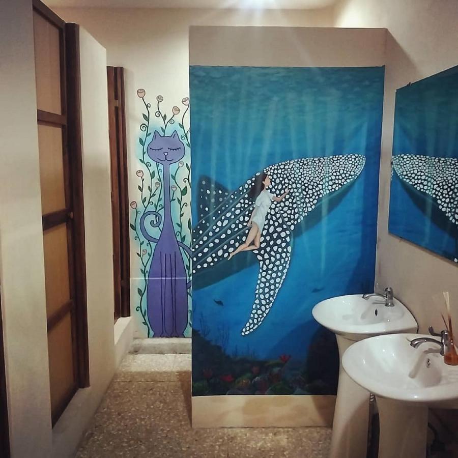 Stray Cat Hostel San Jose  Bagian luar foto